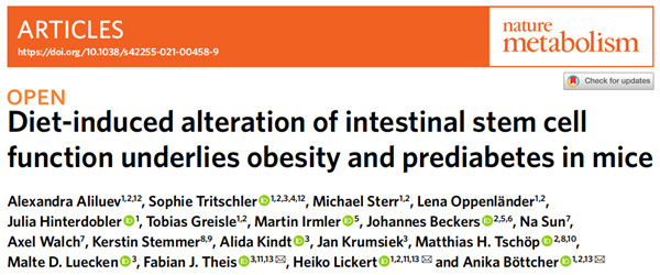 超敏胰高血糖素样肽-1 ELISA Kit.jpg