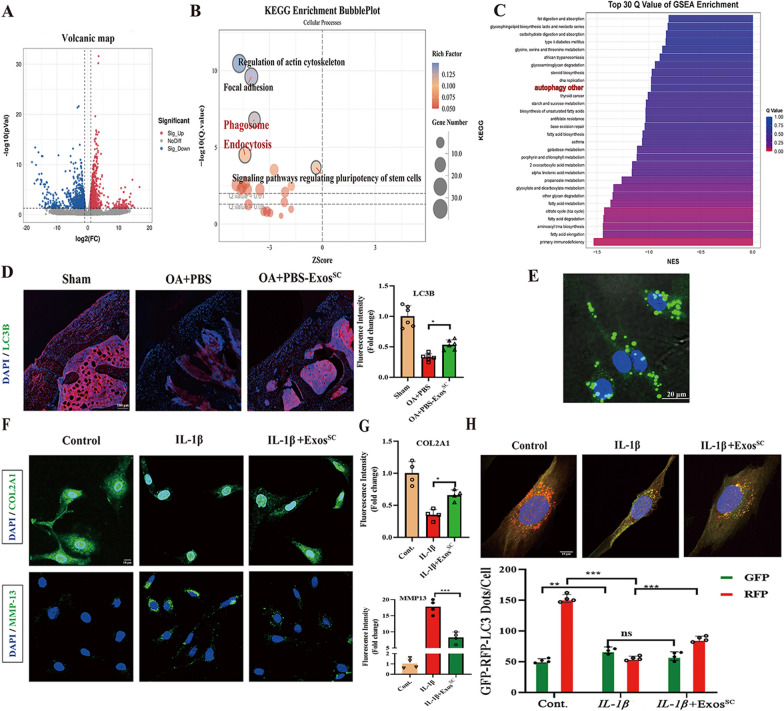 外泌体技术服务 外泌体技术服务