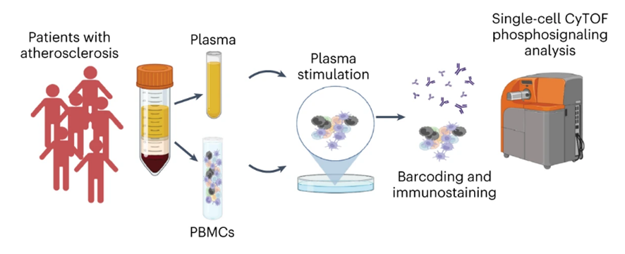 20230914125106.png 20230914125106.png