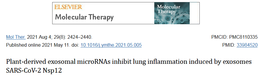 Molecular Therapy:植物外泌体microRNA抑制外泌体SARS-CoV-2 Nsp12诱导的肺炎