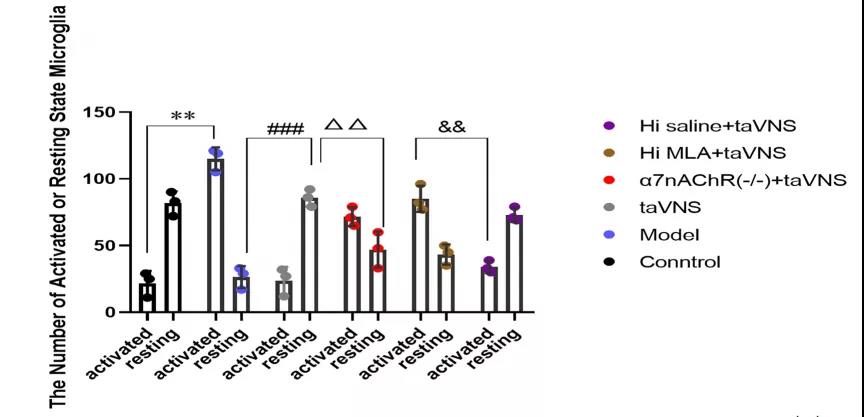  大鼠在神经领域的应用