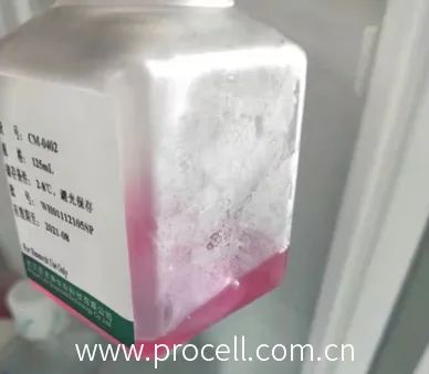 细胞学堂 | 贴壁细胞6大培养难题原因和解决方法