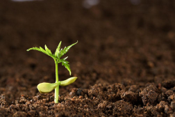 轻松应对土壤/粪便DNA提取难题！