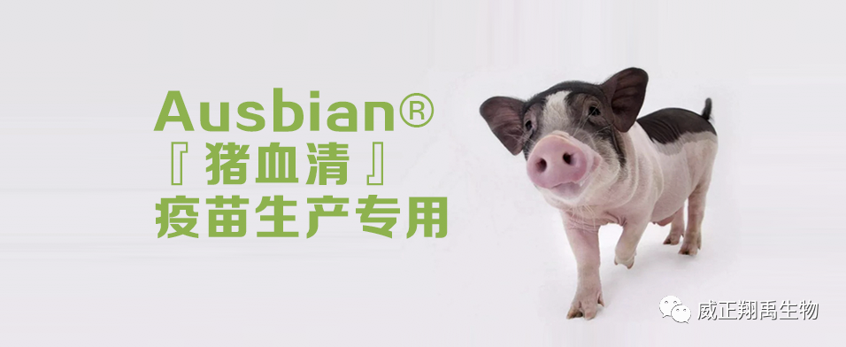 Ausbian®猪血清，疫苗生产更理想​