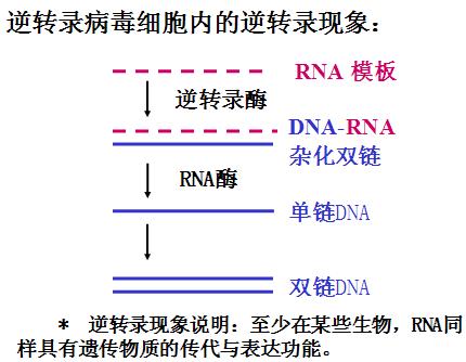 新闻图片1