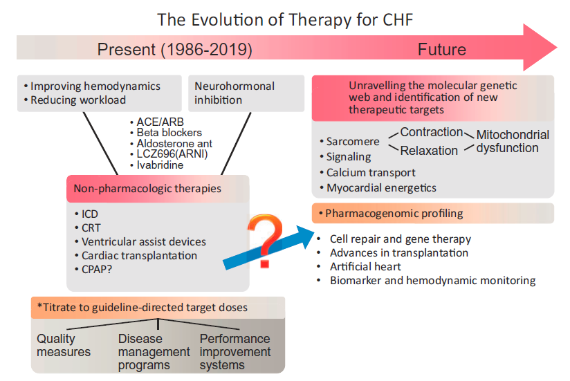 磷酸二酯酶(PDEs)抗体-治疗慢性收缩性心力衰竭的新方法 磷酸二酯酶(PDEs)抗体-治疗慢性收缩性心力衰竭的新方法