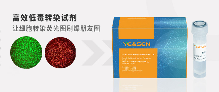 细胞转染注意事项,你都get了吗？(下)