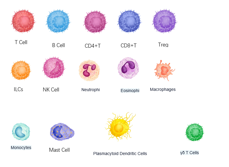 BioXcell特色产品推荐之：Mouse Cell Specific Depletion Antibodies for in vivo use