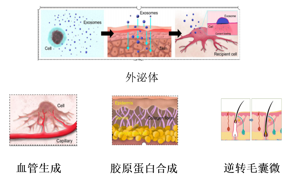 新闻图片10