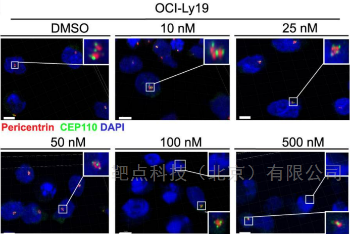 悬浮细胞免疫荧光专用玻片使用解决方案文献参考