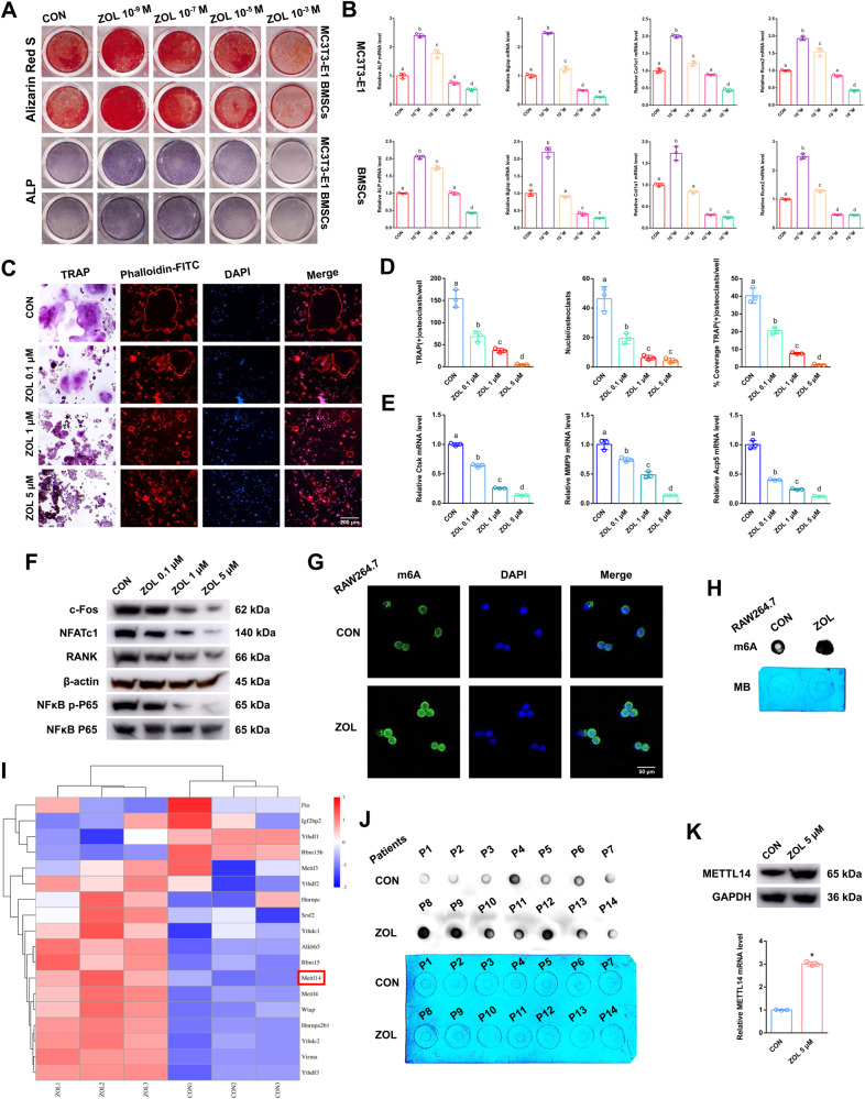 外泌体提取鉴定 外泌体提取鉴定