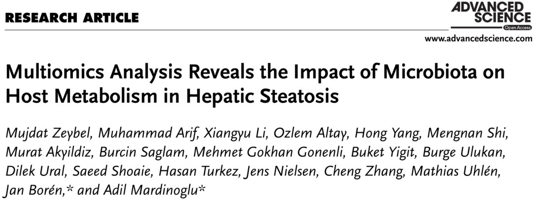 Advanced Science | 多组学揭示肝脏脂肪变性中菌群对宿主代谢的影响