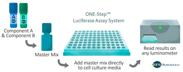 一步法荧光素酶检测促销活动