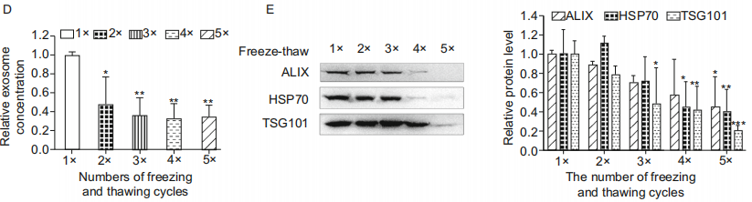 外泌体4.png 外泌体4.png