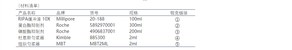 新闻图片3