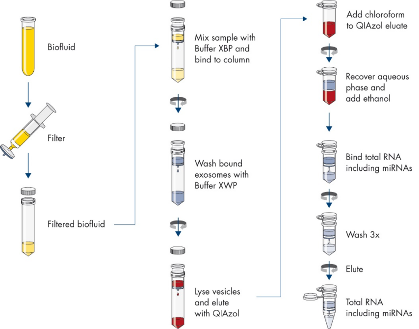 外泌体纯化？miRNA定量？So easy！