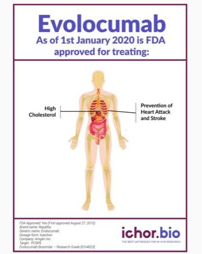 Ichorbio依洛尤单抗生物类似药(研究级)，限时秒杀