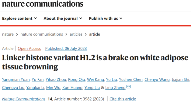 Nature子刊│防控肥胖新靶标？武汉大学郑凌团队发现组蛋白变体H1.2调控脂肪组织产热