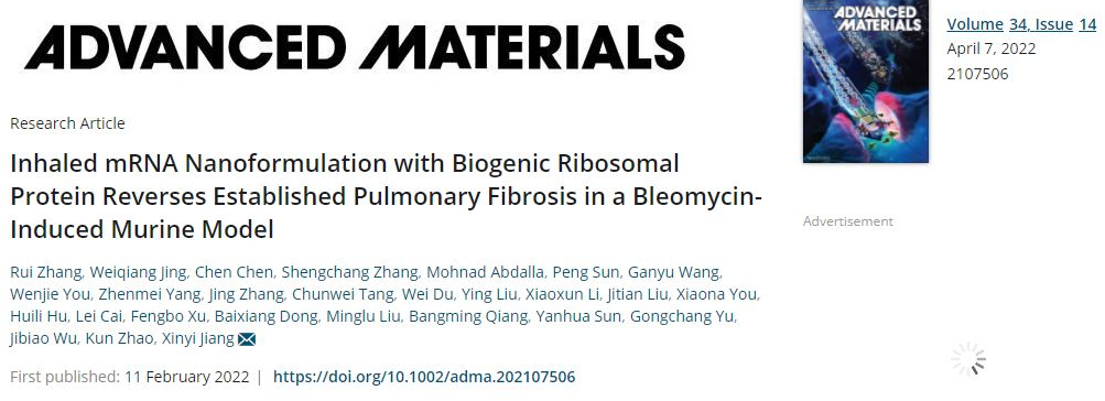 文献解读|基于内源性核糖体重组蛋白的mRNA可吸入纳米制剂用于逆转博莱霉素诱导的小鼠模型肺纤维化