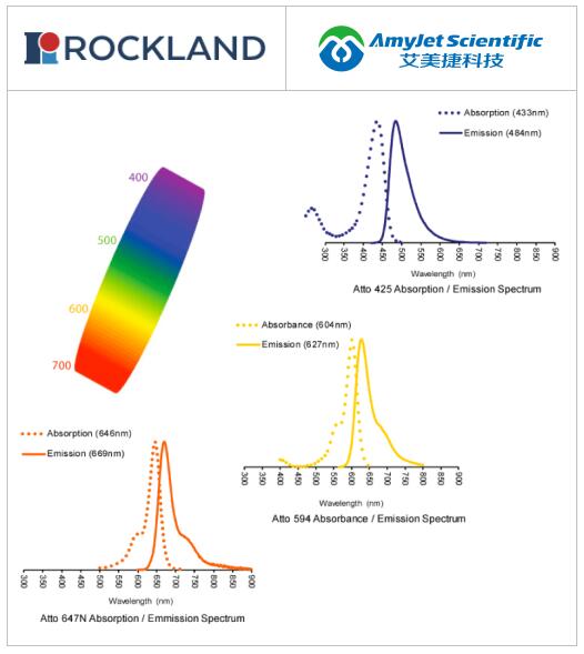 Rockland丨Rockland 抗体修饰-抗体偶联方案
