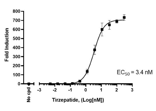 GLP-1R/CRE Luc报告基因 HEK293 细胞系