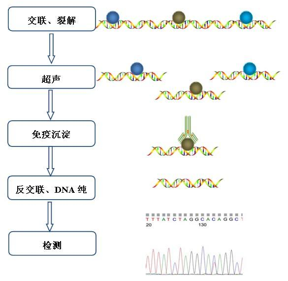 新闻图片3