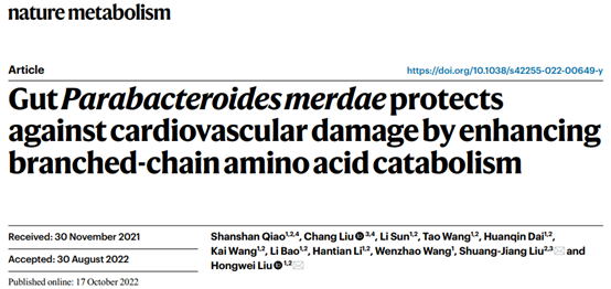 Nature Metabolism | 肠道粪副拟杆菌增强BCAAs分解代谢预防心血管损伤
