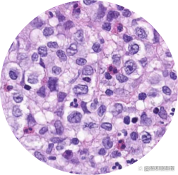 如何正确查看细胞状态？