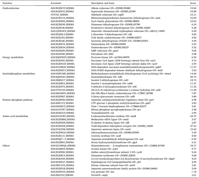 【客户文献解读】基于iTRAQ定量蛋白质组学揭示了沙雷氏菌CM01的蛋白质组学变化及Cr(Ⅵ)抗性机制
