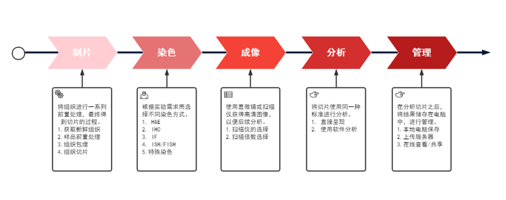 组织病理——一站式解决方案