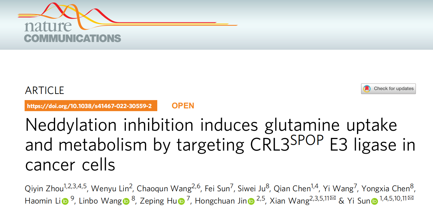 客户案例 | Nat Commun：拟素化修饰调控肿瘤细胞谷氨酰胺吸收和代谢