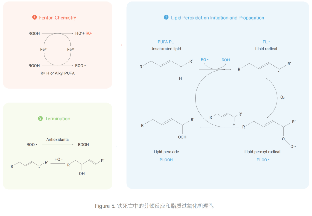 新闻图片5