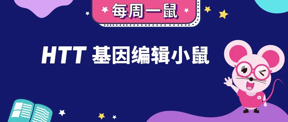 最广泛应用的HD哺乳动物模型——HTT基因编辑小鼠【每周一鼠】