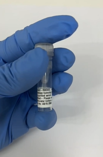 附文献丨艾美捷RBOHD丨呼吸爆发氧化酶同源蛋白D