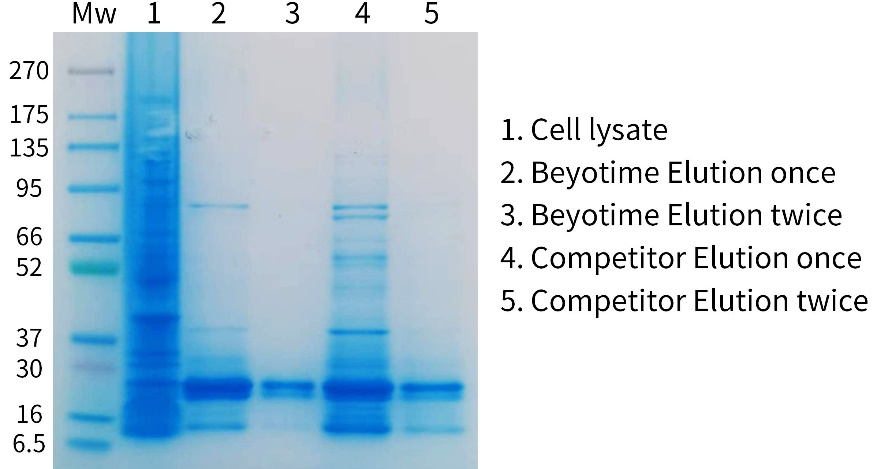 1小时His标签蛋白纯化磁珠试剂盒三重上新！