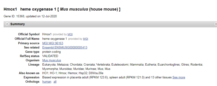 实例讲解SiRNA设计，教你如何筛选有效靶点！