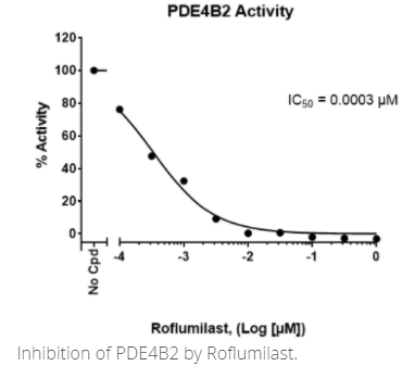 PDE4B2检测试剂盒--超值优惠来袭！