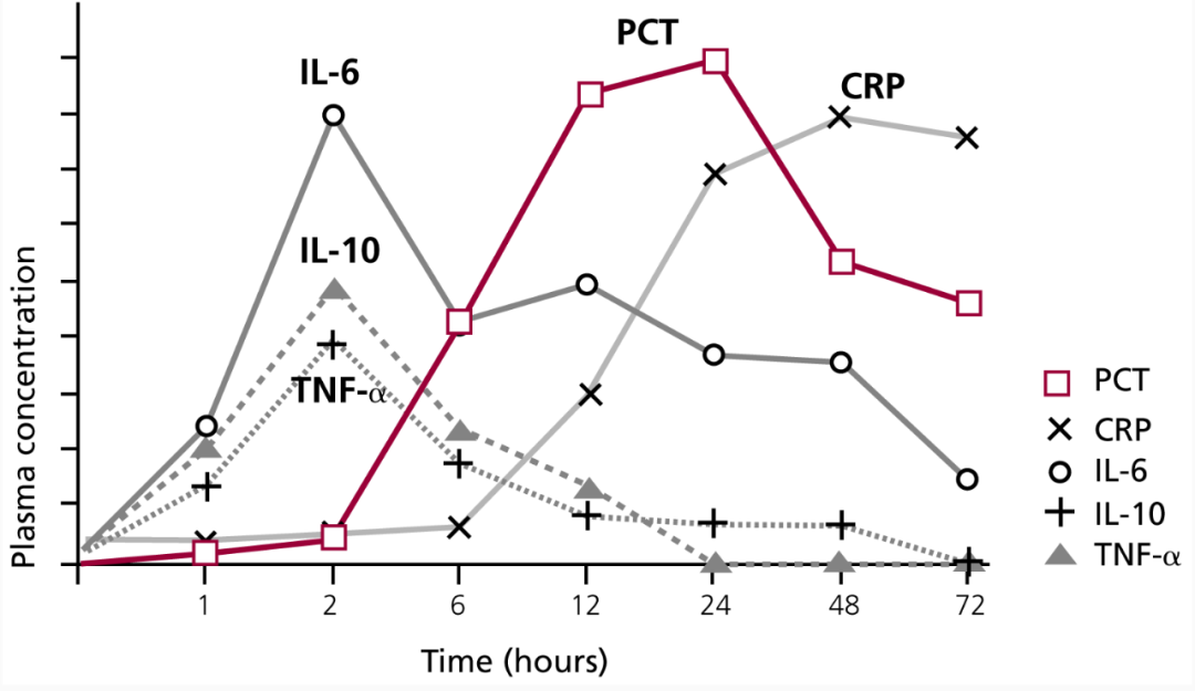白细胞介素6（IL-6）的来源及主要功能