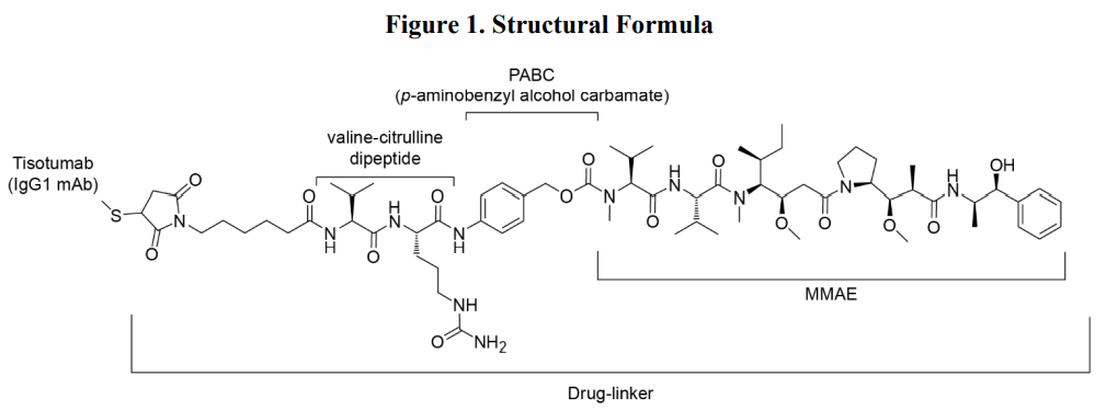 图片8.png 图片8.png