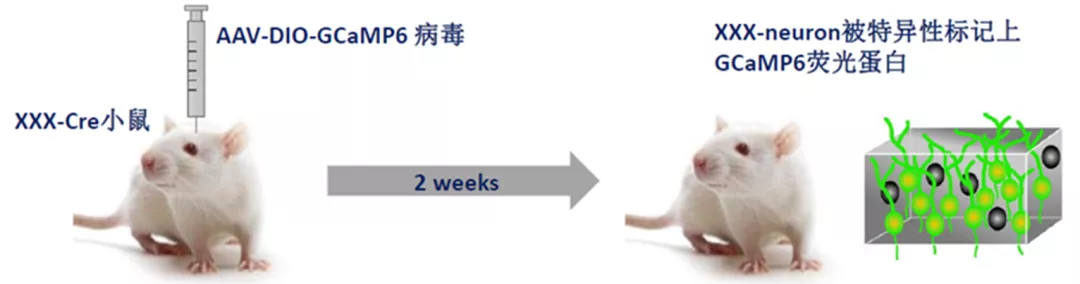 新闻图片8