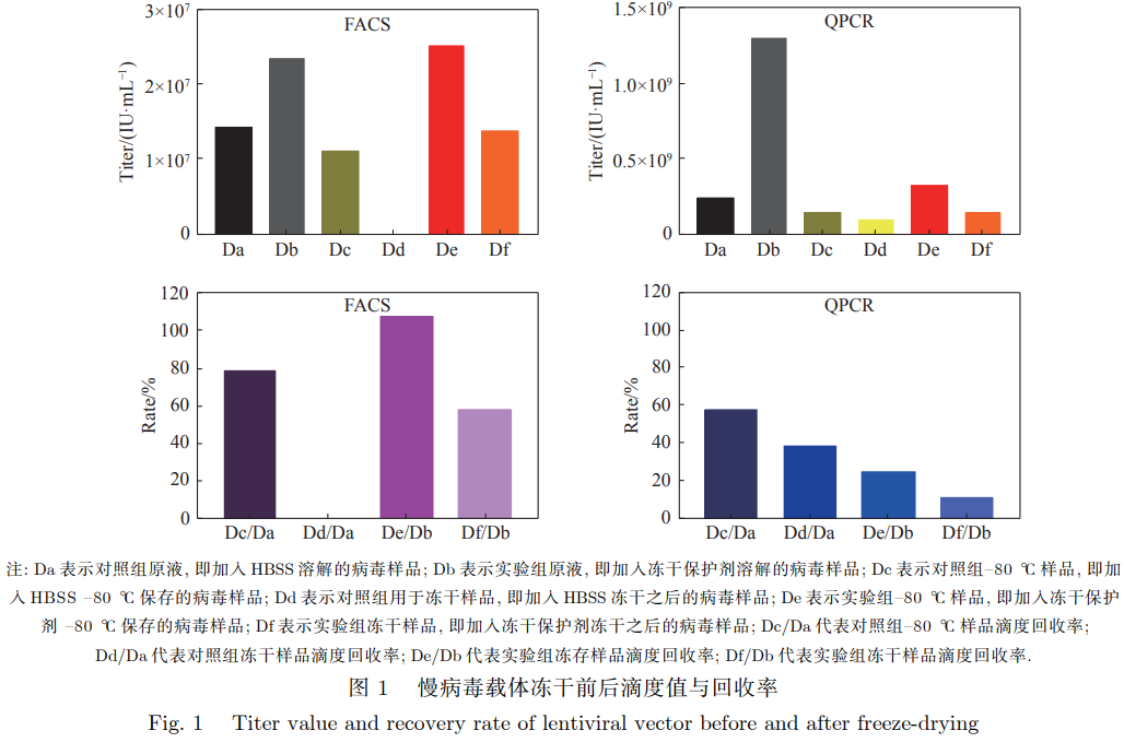 CAR-T 疗法中常用慢病毒载体的冻干保护剂处方优化与稳定性研究
