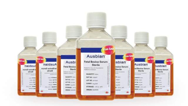 为您介绍透析胎牛血清的相关应用