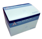 关于 Cell Biolabs丨彗星检测的多问多答丨艾美捷方案