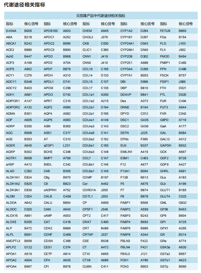 JT003激动剂改善胰岛素抵抗和肝纤维化