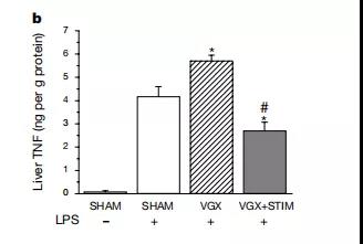 ELISA试剂盒检测组织匀浆液的注意事项