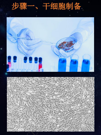 解决方案|干细胞外泌体知多少？