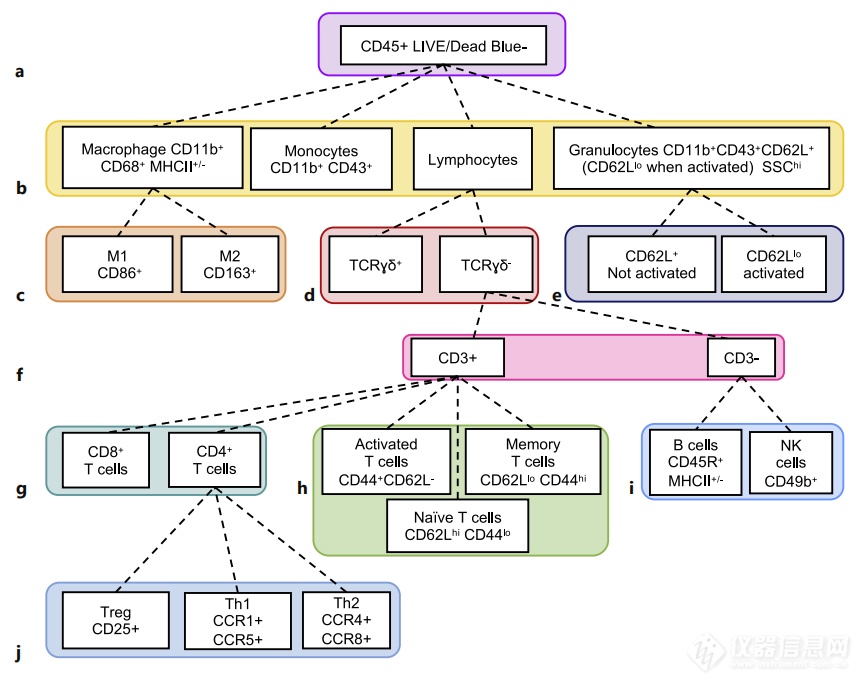 Big Panel Theory系列之—5激光24色大鼠组织损伤免疫分析方案