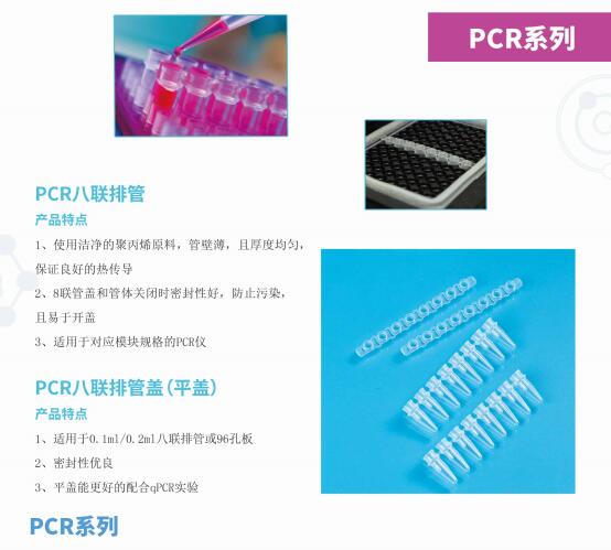 Bio-RadPCR仪 伯乐T100PCR适配国产八联排 