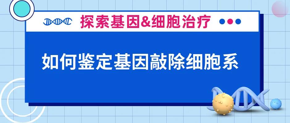 我不允许还有人不知道怎么鉴定基因敲除细胞系