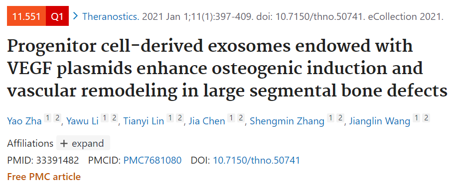 赋予VEGF质粒的祖细胞源性外泌体增强节段性骨缺损的成骨诱导和血管重塑
